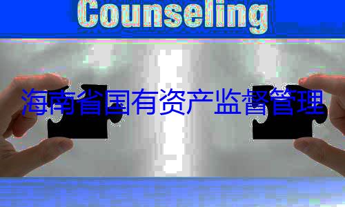理委员会党委副书记王有福接受审资产监督管查调查海南省国有